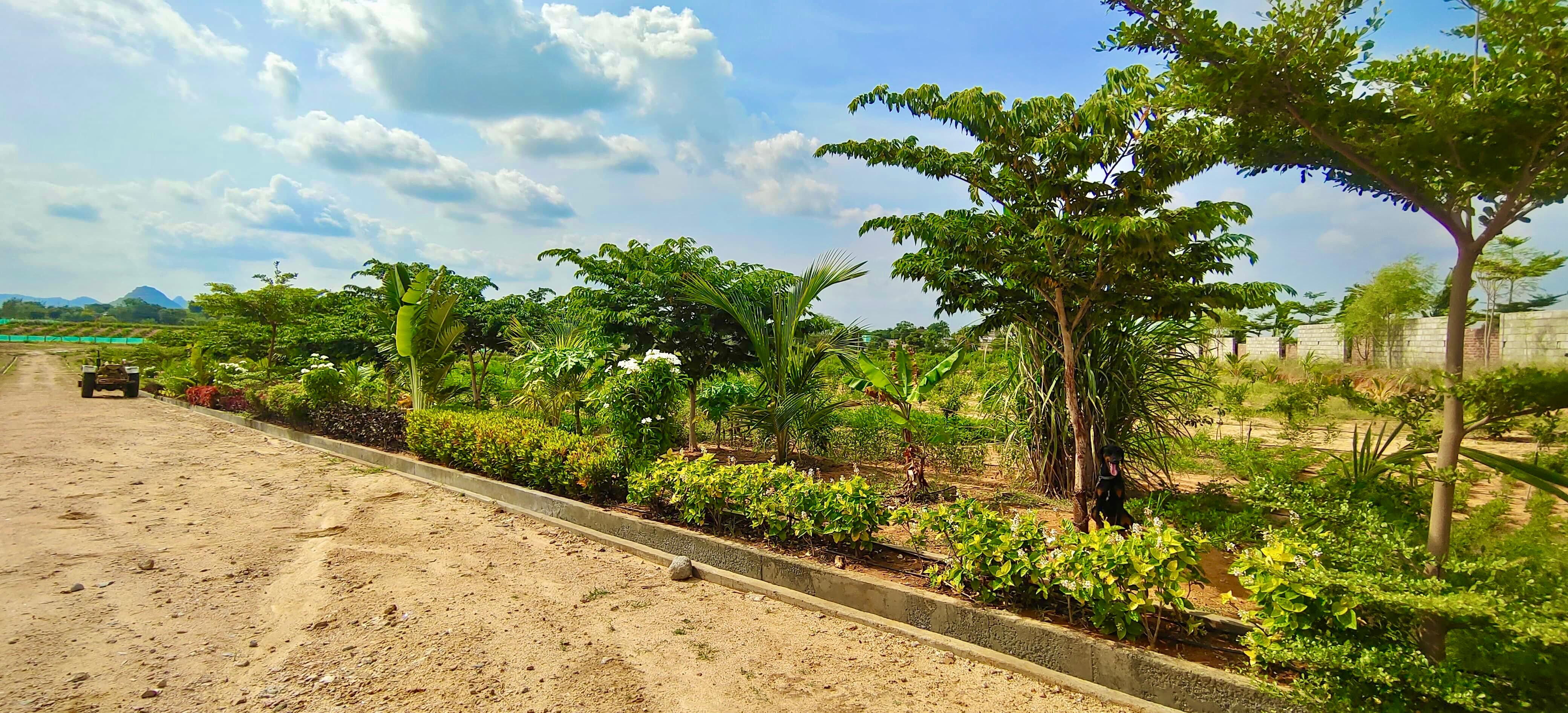 Open Plots